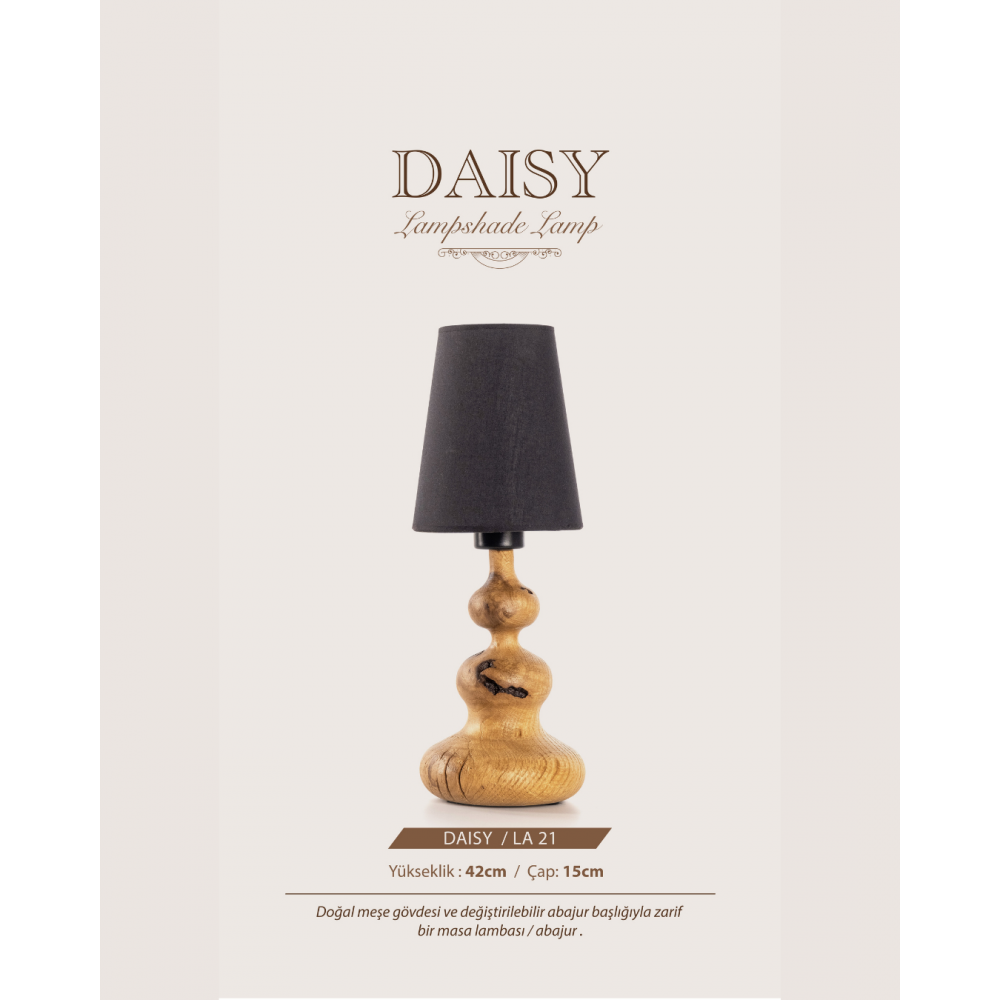 DAISY LA-21