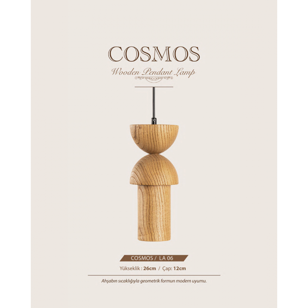 COSMOS LA-06