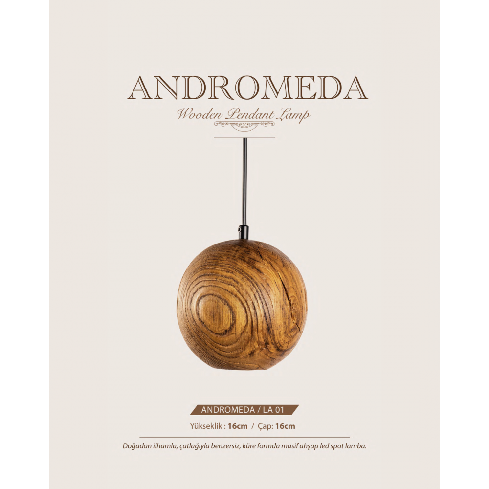 ANDROMEDA LA-01